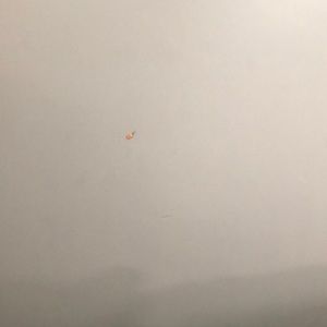 Meet your Posher, Ravinder